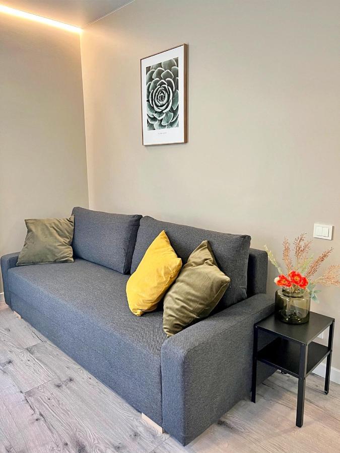 Clinic Studio Apartments By Hostlovers Каунас Екстер'єр фото