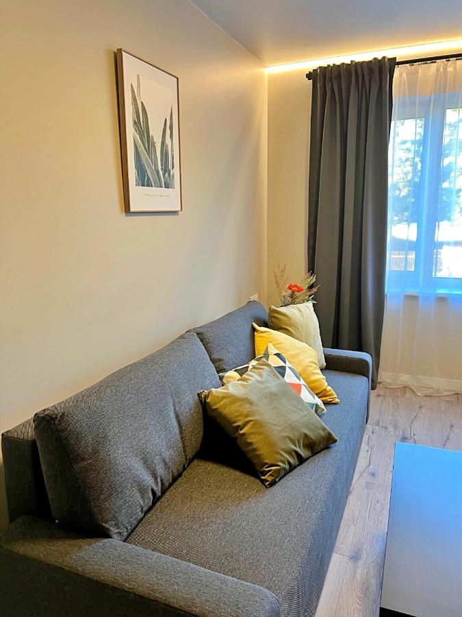 Clinic Studio Apartments By Hostlovers Каунас Екстер'єр фото