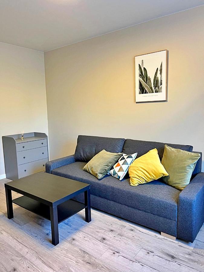 Clinic Studio Apartments By Hostlovers Каунас Екстер'єр фото